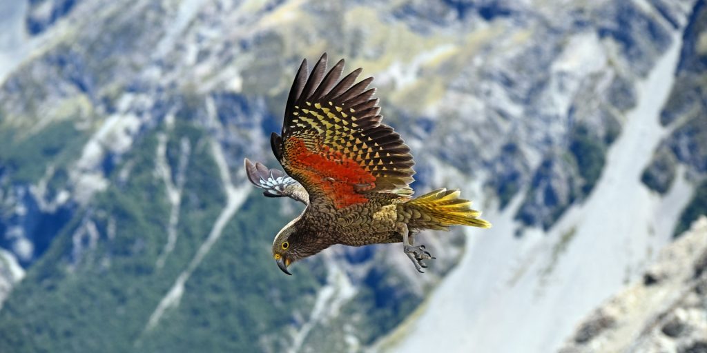 karl anderson pyvpfcgf0ss unsplash